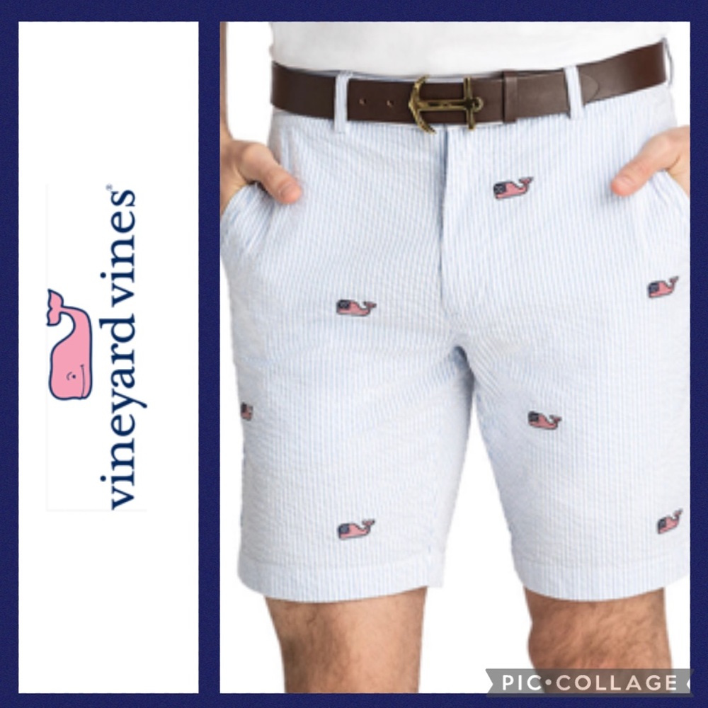 9 Inch Flag Whale Embroidered Seersucker Breaker Shorts